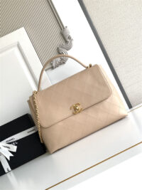 CHANEL 샤넬 토트백/숄더백 CAS5543