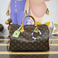 LOUIS VUITTON 루이비통 스피디 소프트 30 럭키 여행가방 M15108